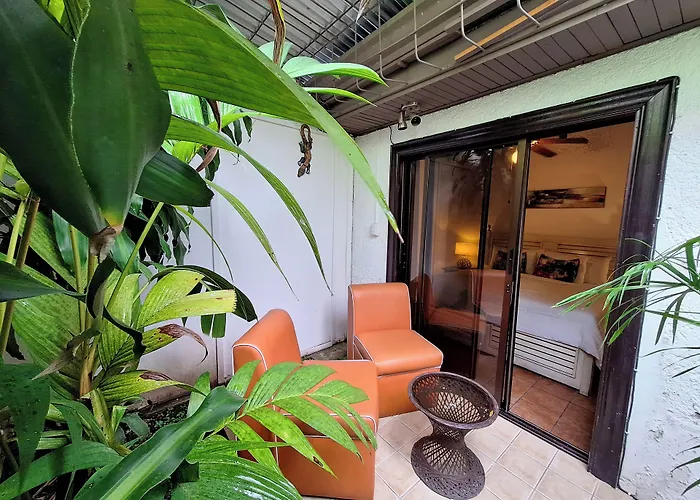 Colours Oasis Resort Adult Only